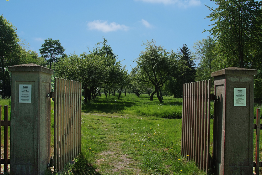 prinzeninsel apfelgarten
